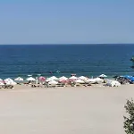 Ancora
